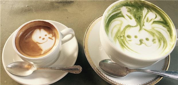 Geschmack-Sache der Gene Kaffee oder grüner Tee: Worauf stehen Sie mehr?