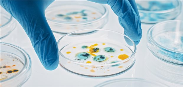 Kampf gegen Bakterien: Forscher in Gießen wollen ein neuartiges Antibiotikum entwickeln, das gegen gramnegative Krankheitserreger zum Einsatz kommen soll.