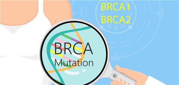 Kann Trägerinnen einer BRCA-Mutation irgendwann einmal präventiv medikamentös geholfen werden? Eine internationale Studie soll das nun klären.
