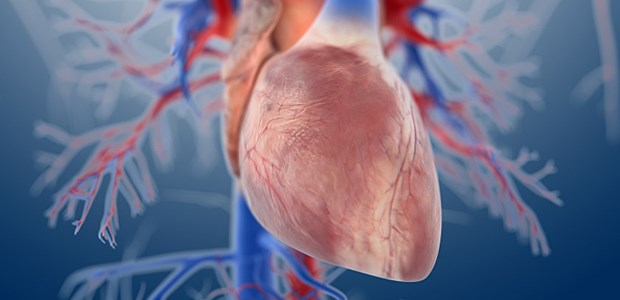 Für die Routine ist es noch viel zu früh Kardiologen träumen davon, mit Stammzelltherapie so erfolgreich zu sein wie die Hämatologen.
