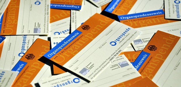 Hilft mehr Staat? Karten für die Organspende: Wieviel Staat soll es sein?