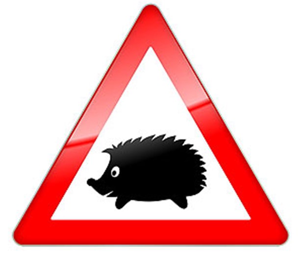 Vorsicht, IGeL! Kassen warnen vor IGeL.