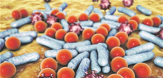 Clostridium difficile lauert auch in der Notaufnahme Keime: Clostridium difficile verursacht oft schwere Kolitiden