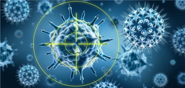 Nagelbrett schützt Implantat vor Keimen Keime im Visier: Mit einer Art Nagelbrett wollen Forscher Bakterien und Viren den Garaus machen.