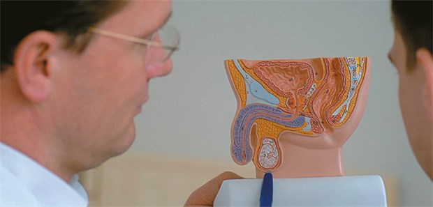 Keimzelltumoren des Hodens zählen zu den Krebserkrankungen mit den höchsten Überlebenswahrscheinlichkeiten.