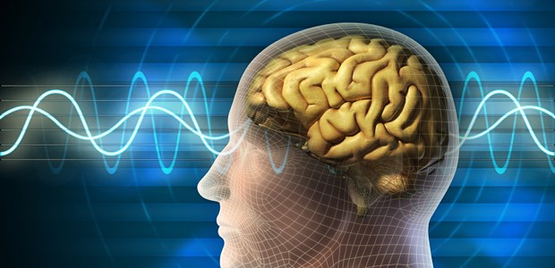 Hirntod-Diagnostik mit Problemen? Kein Hirntod: Hier sind noch Ströme.