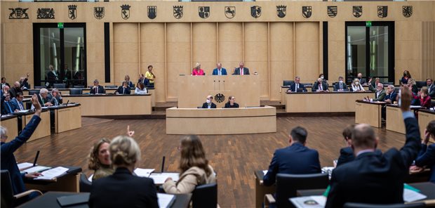 Keine Einwände signalisierten die Ländervertreter am Freitag bei der endgültigen Abschaffung des Paragrafen 219a Strafgesetzbuch.