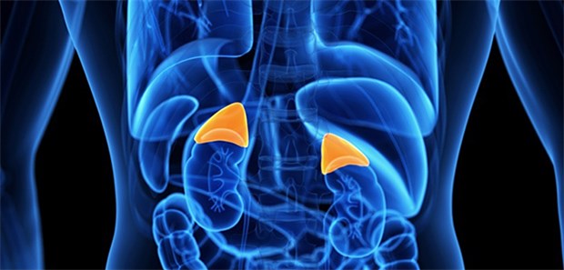 Keine einfache Diagnose: Eine primäre Nebennierenrindeninsuffizienz entwickelnd sich oft schleichend und mit unspezifischen Symptomen.