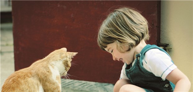 Kinder müssen auf den Umgang mit Tieren vorbereitet werden, um Infektionen zu vermeiden.