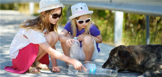 Kinder suchen häufiger den Kontakt zu streunenden Hunden oder Wildtieren als Erwachsene. Gerade deshalb sollte bei Ihnen auf Schutz gegen Tollwut geachtet werden.