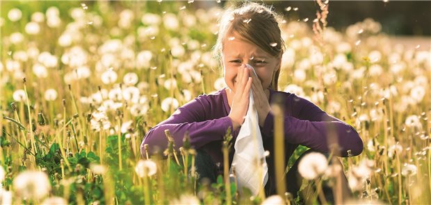 Kinder und Jugendliche sowie junge Erwachsene bis 24 Jahren weisen in kreisfreien Großstädten die niedrigsten Heuschnupfen-Häufigkeiten auf.