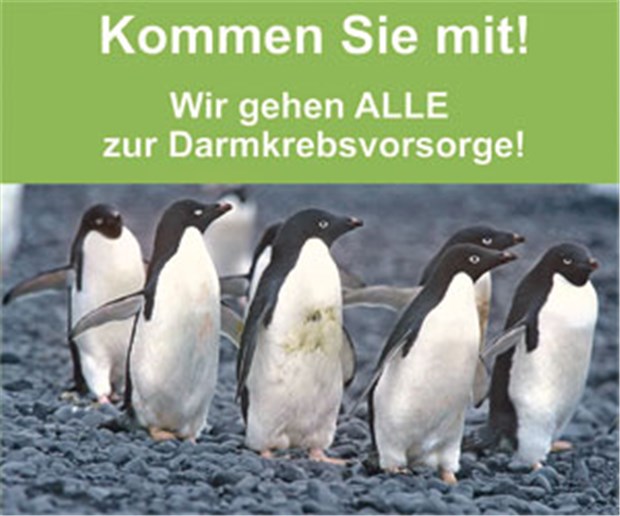 Seit 15 Jahren Kampf gegen Darmkrebs Klare Botschaften, originell verpackt: Die Stiftung Lebensblicke setzt auf Motivation.