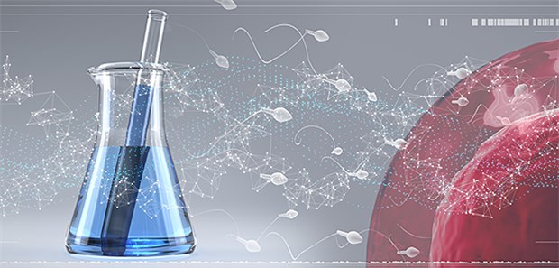 Alltägliche Chemikalien schaden dem Sperma Kleinste Mengen von alltäglichen Chemikalien stören die männlichen Keimzellen.