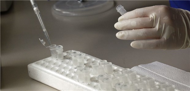 Heute ist der Gesundheitsausschuss beim TSVG am Zug Kleinteiliges Versorgungsgesetz: Auch die Kostenübernahme für die Präimplantationsdiagnostik soll darin Platz finden.