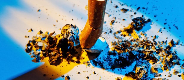 Prävention funktioniert nur selten Klimmstengel aus: Bei der Prävention klappt es nicht immer.