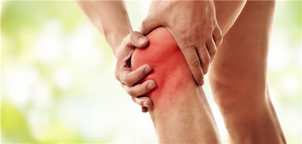 Knieschmerzen sind nicht unbedingt auf Miniskusschäden zurückzuführen.