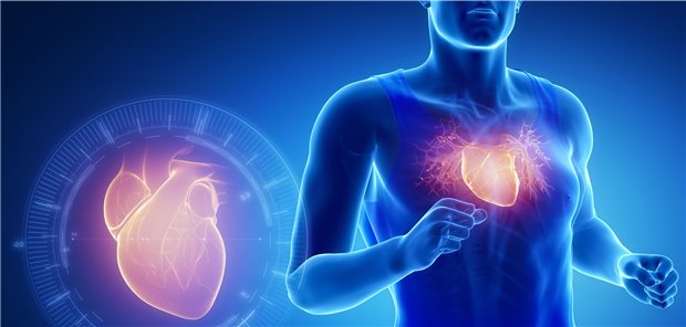 Körperliches Training hat langfristig eine herzschützende Wirkung, kurzfristig kann es jedoch einen Herzstillstand auslösen. 