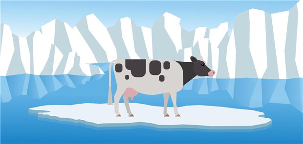 Kommt nun im Klinikstreit die Kuh vom Eis? Die DKG jedenfalls macht dafür Kompromissvorschläge.