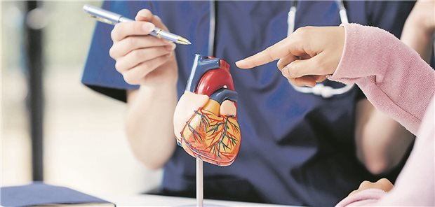 Eine Ärztin und eine Patientin schauen sich das Modell eines menschlichen Herzes an.