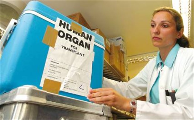 Abwärtstrend bei Spendern und Organen Kostbare Fracht: ein Organ auf dem Weg in den Op-Saal. 12 000 Patienten stehen auf Wartelisten.