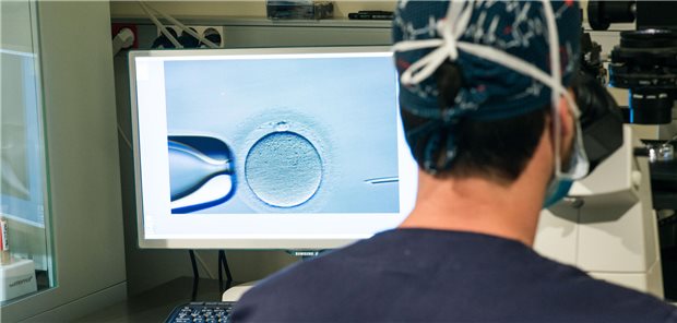 Kirche in Polen unterliegt im Streit um künstliche Befruchtung Ein Embryologe an einer Reproduktionsklinik befruchtet unter dem Mikroskop mit einer Mikropipette eine Eizelle