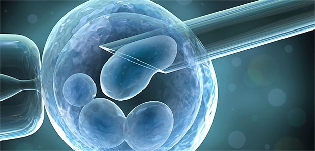 Unverheiratete Paare bekommen keinen Zuschuss Krankenkassen dürfen unverheirateten Paaren keinen Zuschuss zur In-vitro-Fertilisation gewähren, urteilte das Bundessozialgericht.