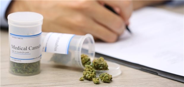 Mehr als 1400 Cannabis-Verordnungen – und ein skeptisches Fazit Krankenkassen in Thüringen haben bis zu 74 Prozent der Anträge von Versicherten auf eine Cannabis-Verordnung genehmigt.