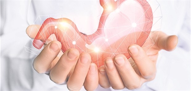 Kranker Magen in guten Händen: Besonders auch Ernährungsempfehlungen können Diabetes-Patienten mit Gastroparese helfen.