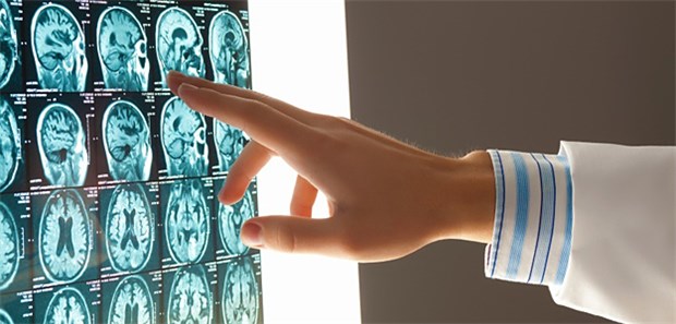 Krebsdiagnostik: Immer mehr Informationen müssen für Therapie-Entscheidungen zusammengeführt werden.