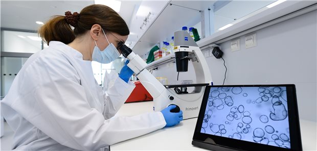 Startschuss für patientenzentrierte Krebsforschung in Deutschland? Krebsforschung im Elfenbeinturm? Künftig sollen Patienten zentral eingebunden werden, lautet der neue Kurs unter dem Dach der Nationalen Dekade gegen Krebs.