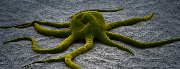 Krebsstammzellen: Die tödlichen Schläfer im Blut Krebszelle: Forscher haben neue Stammzellen entdeckt.