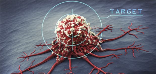 Krebszelle im Visier: Bei Patienten mit Multiplem Myelom verstärkt offenbar ein Antikörper die Wirksamkeit der Therapie (Symbolbild).