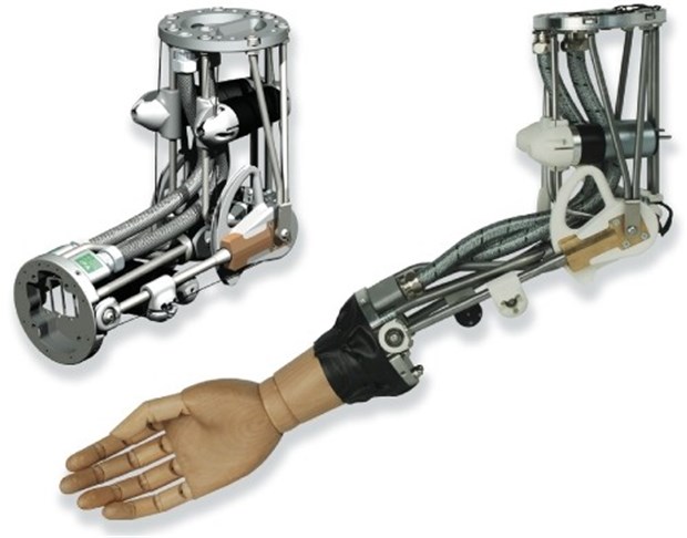 Kunstmuskel bewegt Arm Künstlicher Ellbogen: links ohne, rechts mit Holzhand.