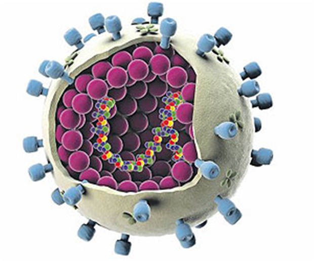 Vom Terrorvirus zur Mutation des Schreckens Kugel mit Pandemie-Potenzial: Experimente mit dem Influenza-Virus sorgen für Diskussionsstoff.