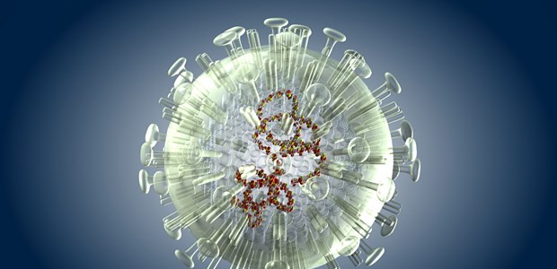 Ein neues Virus mit Potenzial? Kugelrund und bedrohlich: das aviäre Influenzavirus im Modell.