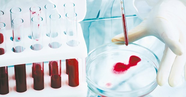 Welche Chancen hat personalisierte Medizin? Labortests für die personalisierte Medizin: Welche Arzneien können einem Patienten helfen?