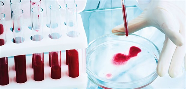 Hausärzte als Lotsen zur individualisierten Therapie Labortests für die personalisierte Medizin: Welche Arzneien können einem Patienten helfen?