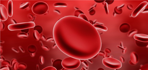 Laborwerte wie die Hämoglobinkonzentration und Bilirubin begannen sich zwischen der ersten und dritten Woche der Sutimlimab-Gabe zu normalisieren.