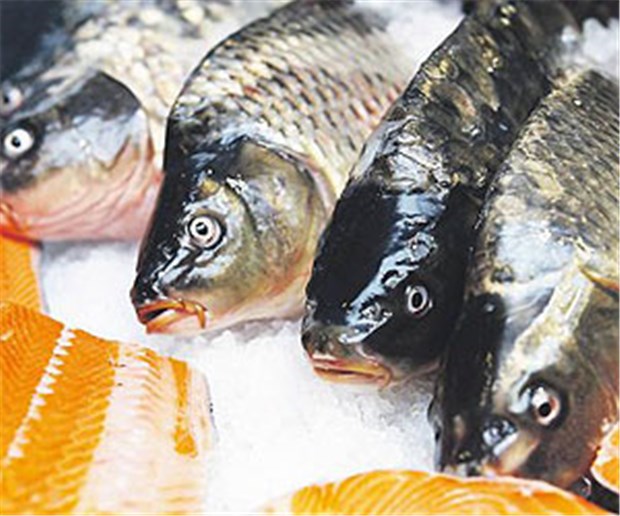 Fischöl schützt das Herz nicht Lachs ist reich an langkettigen Omega-3-Fettsäuren.