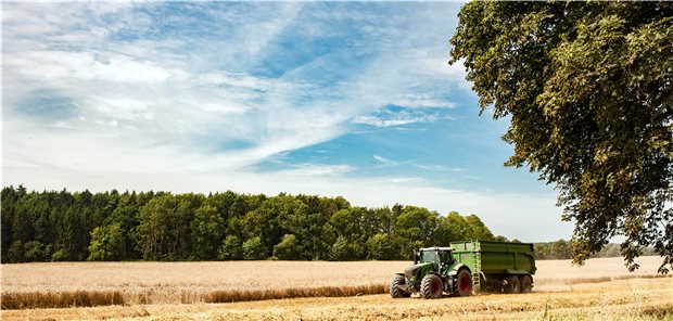 Ländliche Idylle? Nicht jeder Arzt und jede Ärztin sieht das so und möchte sich auf dem Land niederlassen. Daher haben fast alle KVen und viele Landesregierungen Förderprogramme zur Existenzgründung auf dem Land aufgelegt. Noch nicht alle haben bislang Wirkung gezeigt.