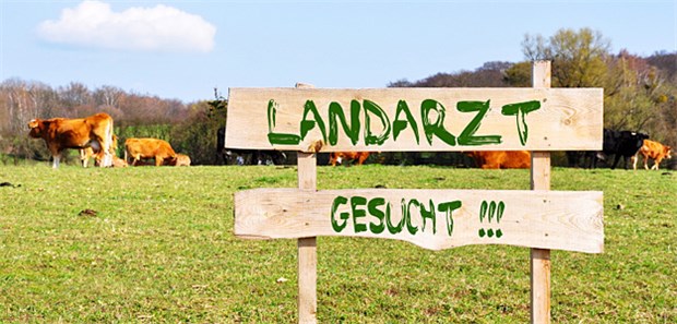 Ein Land der Ideen gegen Ärztemangel Landarzt gesucht - an vielen Orten werden auch Ärzte selbst initiativ.