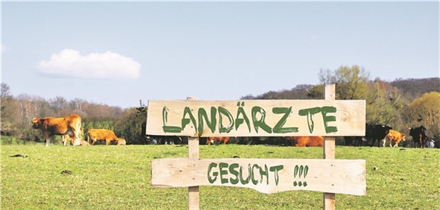 Landarztquote in Bayern: "Wer einmal da ist, bleibt auch!" Landidylle vor der Praxis: Hilft die Landarztquote, junge Ärzte zur Arbeit außerhalb der Städte zu bewegen? Marco2811 / Fotolia