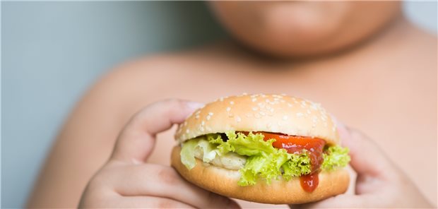 Studie attestiert Deutschland mangelhafte Ernährungspolitik Laut „Food-EPI“ versuchen rund 90 Prozent der Deutschen, sich ausgewogen zu ernähren – unter den gegenwärtigen lebensmittelrechtlichen Bedingungen sei das in Deutschland aber nur sehr schwer umzusetzen, heißt es.