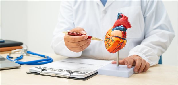 Laut den Ergebnissen der Studie hat sich der Nutzen von Finerenon bei der Behandlung von Patienten mit HFmrEF/HFpEF sich als konsistent erwiesen, unabhängig von der prozentualen eGFR-Veränderung zum Beginn der Therapie