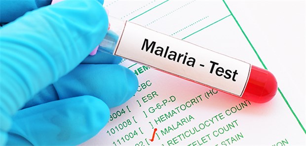 Laut den Meldedaten nach dem Infektionsschutzgesetz (IfSG) gab es in Deutschland im vergangenen Jahr 956 Malaria-Erkrankungen.