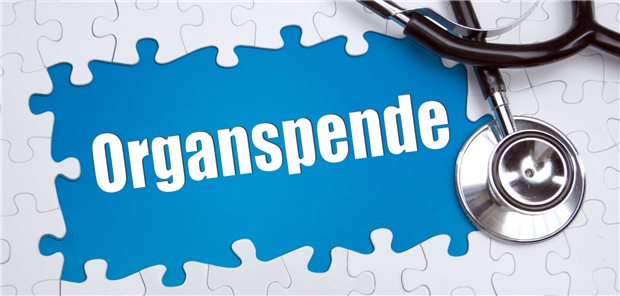 Fast jeder zweite Deutsche besitzt Organspendeausweis Laut einer Umfrage im Auftrag der Techniker Krankenkasse ist die Organspendebereitschaft in Deutschland nach wie vor groß.
