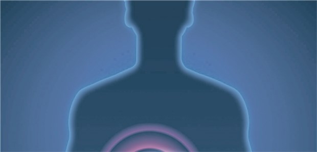 Leber – und auch die Gallengänge – im Fokus: TNF aktiviert das Enzym JNK und löst verstärktes Wachstum der Gallengangszellen aus.