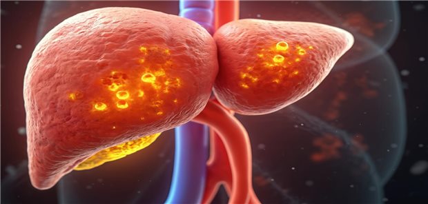 Grafische Darstellung der Leber