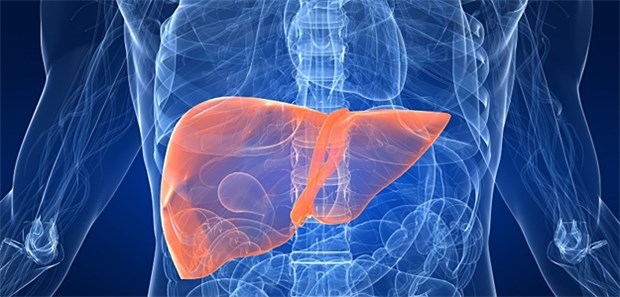 Leberversagen: Auf Intensivstationen, die für eine Studie Daten lieferten, hat im Laufe der Zeit der Einsatz von Vasopressoren und Blutprodukten zur Therapie bei akutem Leberversagen abgenommen.