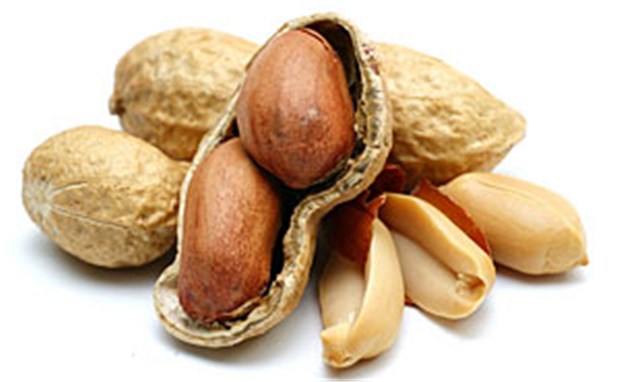 Erdnussallergie: Desensibilisierung geglückt Lecker, aber allergen: Erdnüsse.